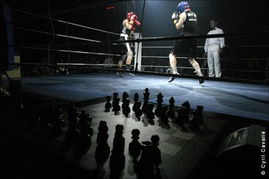 象棋拳擊 德國興起的身心對(duì)決新潮